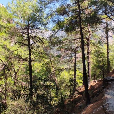 Διαμερίσματα Έλενα Αλμυρίδα - Δήμος Αποκορώνου - Νομός Χανίων