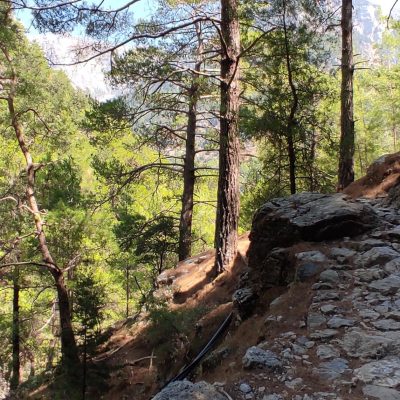 Διαμερίσματα Έλενα Αλμυρίδα - Δήμος Αποκορώνου - Νομός Χανίων