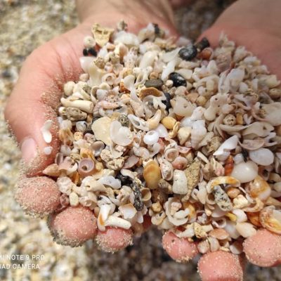 Διαμερίσματα Έλενα - Νομός Χανίων