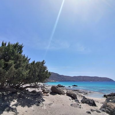 Διαμερίσματα Έλενα Αλμυρίδα