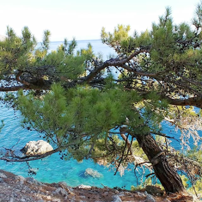 Διαμερίσματα Έλενα Αλμυρίδα