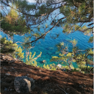 Διαμερίσματα Έλενα Αλμυρίδα