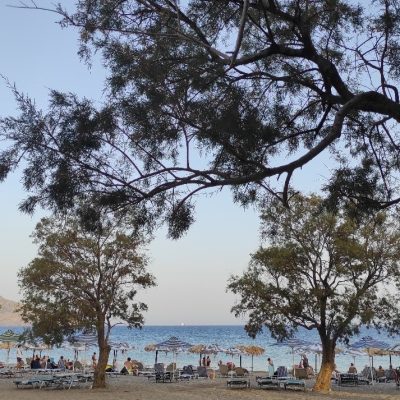 Διαμερίσματα Έλενα Αλμυρίδα