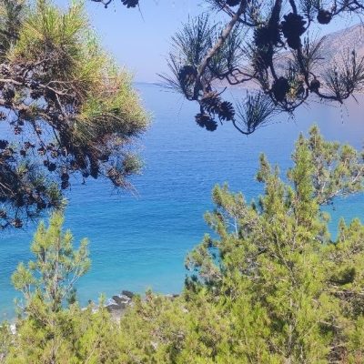 Διαμερίσματα Έλενα Αλμυρίδα