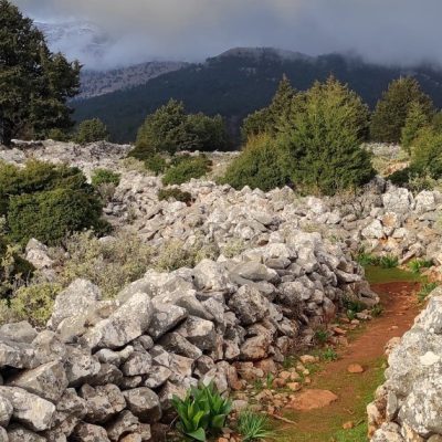 Διαμερίσματα Έλενα Αλμυρίδα